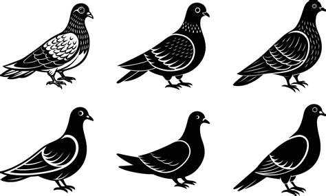 Pigeon Set silhouette illustration 46584984 Vector Art at Vecteezy