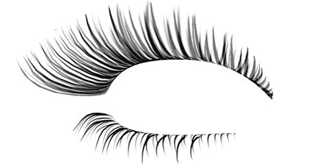 Eyelashes clipart natural, Eyelashes natural Transparent FREE for ...