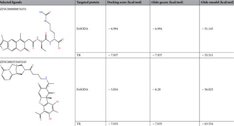 Molecular Docking Analysis Of Selected Ligand Molecules Against The