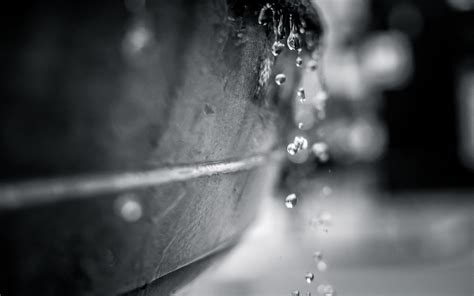 Water Drops Macro Bw Hd Wallpaper Nature And Landscape Wallpaper Better