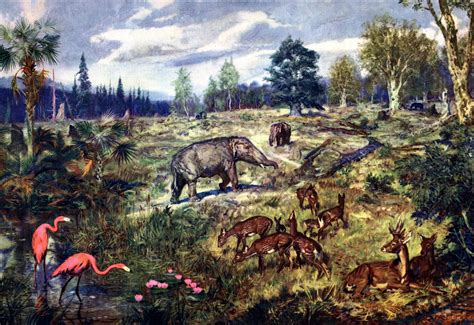 Ancient Animals The Miocene Landscape Animals Prehistoric Animals