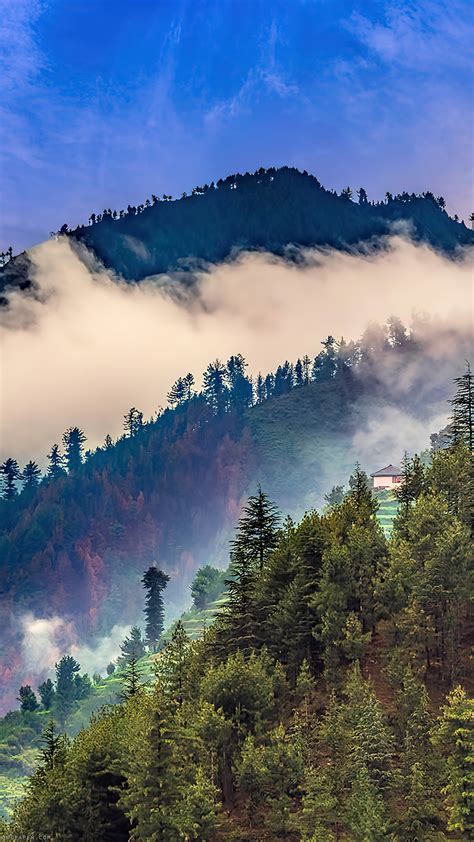 Himalayas Mountain Fog Forest 4K 5550f Wallpaper IPhone Phone