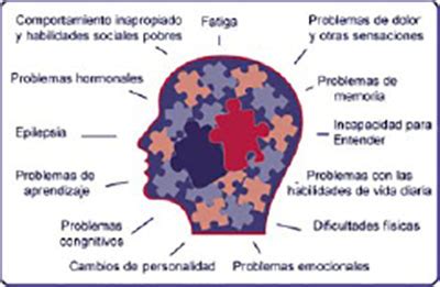 Vista De Encefalopat A Ur Mica Causas Y Tratamiento Reciamuc