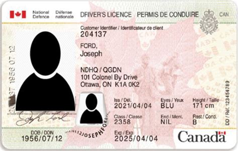 Dnd 404 Drivers Licence No More Reference To Sex Pacific Navy News