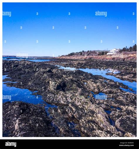 Willard Beach, Maine Stock Photo - Alamy