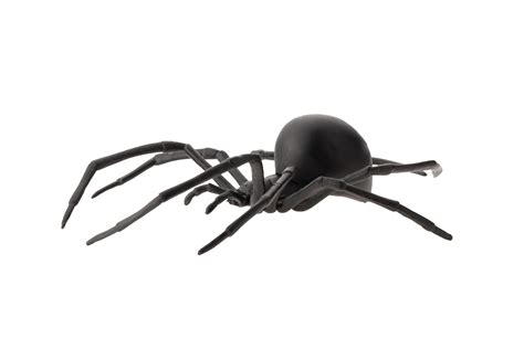 Fake rubber spider toy isolated over a white background 2935123 Stock ...