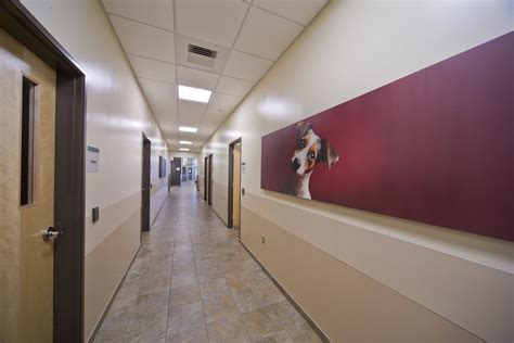 Advanced Veterinary Care Center
