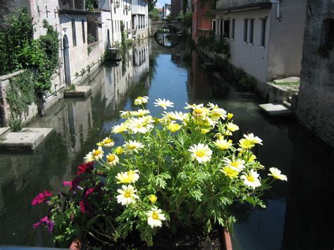 Calle Bovoloni Andrea Dalla Francesca Cappello Flickr