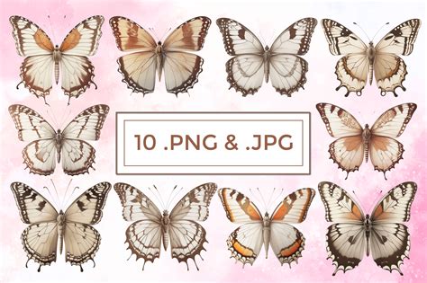 Vintage Butterfly Clipart Collection Graphic by PranStudio · Creative Fabrica