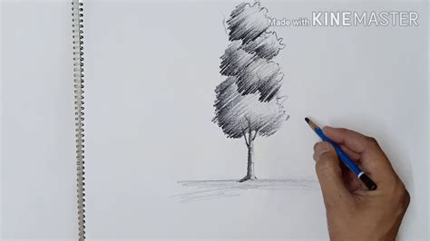 How To Draw Tree With Shading Youtube