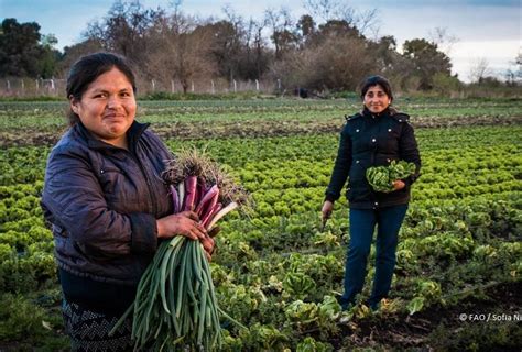 Promueven Inversi N Responsable En Agricultura Y Sistemas Alimentarios