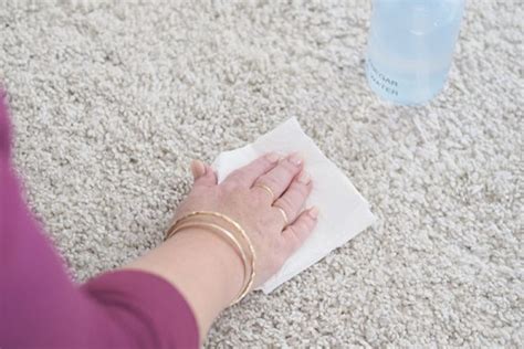 Homemade Carpet Cleaner - Pet Stains