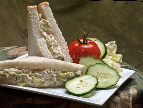 Chicken Salad Sandwich Plate Stock Image Image Of Bread Restaurant