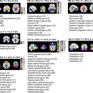 Resting State Networks Rsns Spatial Maps Of The Rsns N