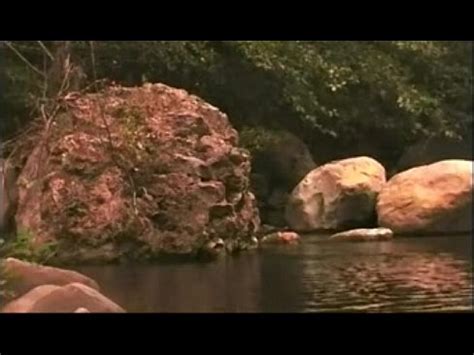 Man And Two Woman Sex XVIDEOS