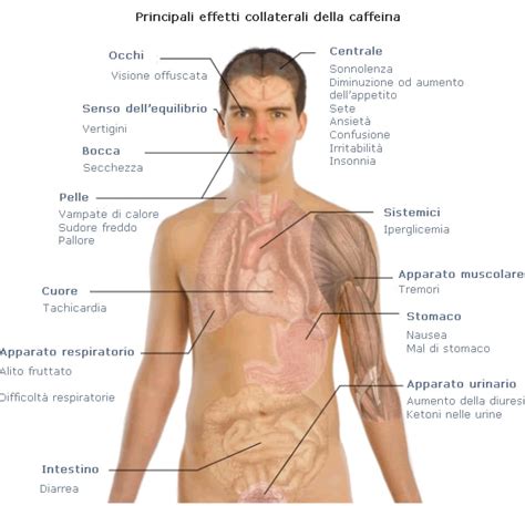 Caffeina Gli Effetti Collaterali