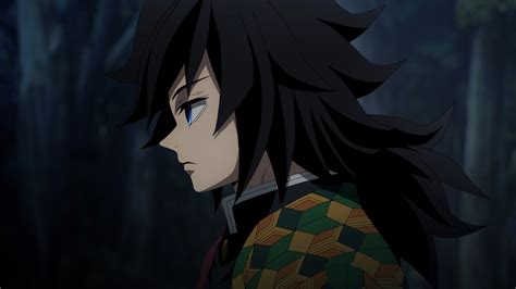 Demon Slayer Kimetsu No Yaiba Hashira Training Arc Action Anime Series