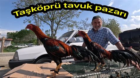 Kastamonu Taşköprü tavuk pazarı bayram sonu hareketliliği yok yok ne