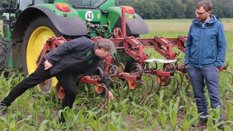 Insektenschutz In Der Landwirtschaft Finka Projekt In Odeweg F Rdert