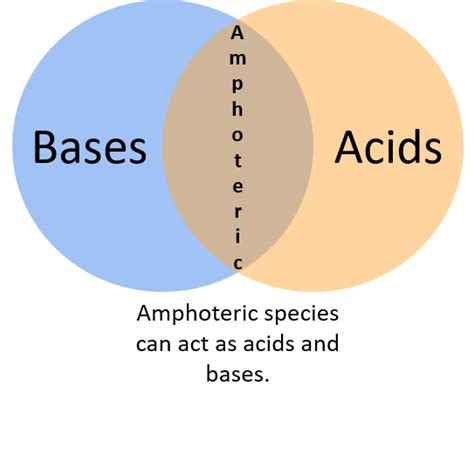 Amphiprotic vs. Amphoteric — Comparison & Examples - Expii