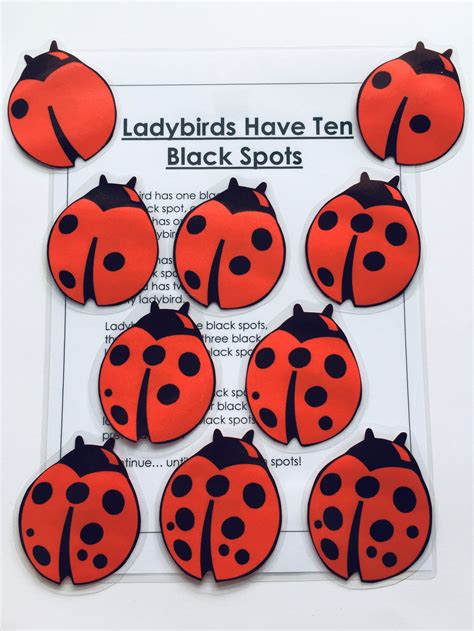 LADYBIRDS HAVE TEN BLACK SPOTS Magnetic Song