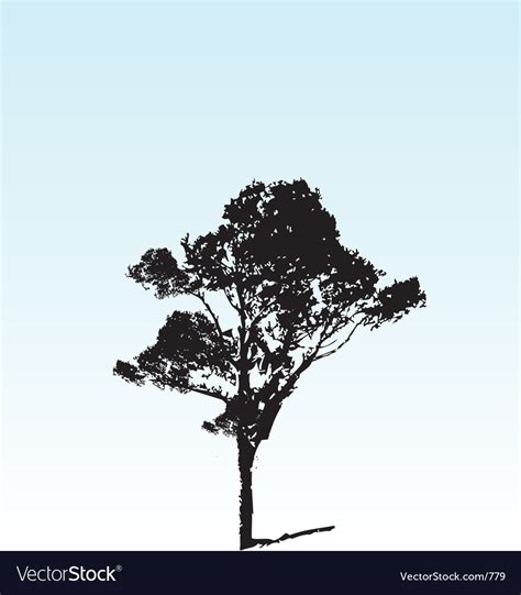 Pine tree Royalty Free Vector Image - VectorStock