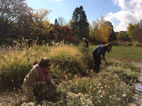 step guide  native seed collection