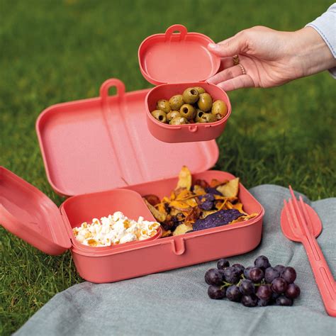 Pascal Ready Lunchbox Set Mit Klikk Besteck Organic Von Koziol Connox