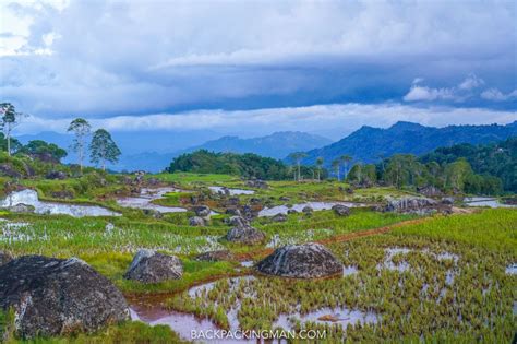 hiking  tana toraja sulawesi backpacking  indonesia