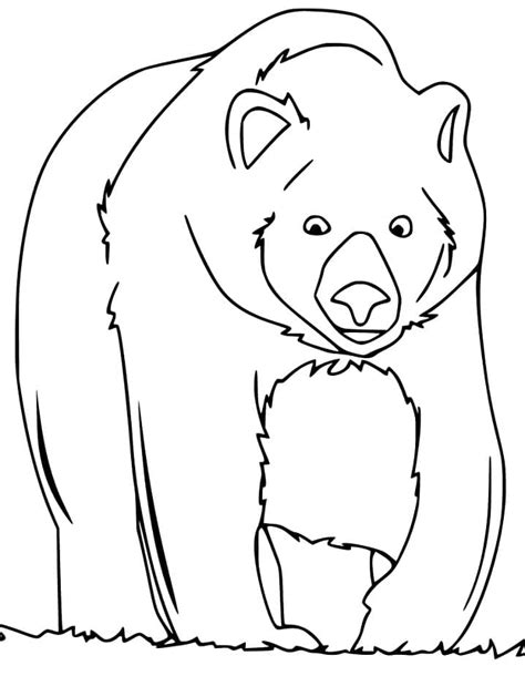 Dibujos De Lindo Oso Para Colorear Para Colorear Pintar E Imprimir