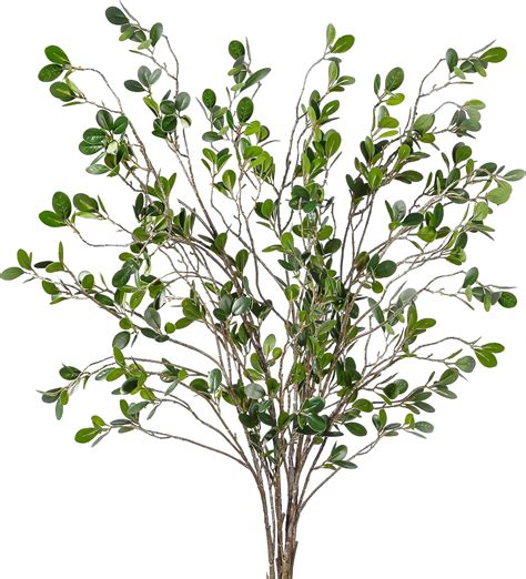 Amazon Sggvecsy Pcs Artificial Ficus Branches Faux Leaf