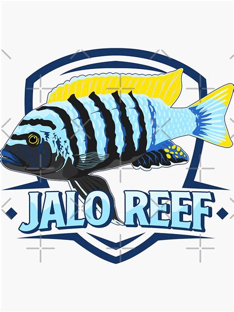 Jalo Reef Mbuna Cichlid Lake Malawi Cynotilapia Afra Aquarium Fish