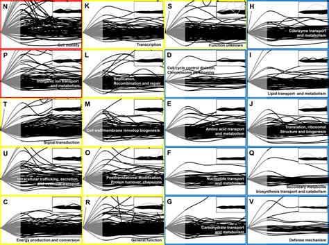 Frontiers Combined Analysis Of The Time Resolved Transcriptome And