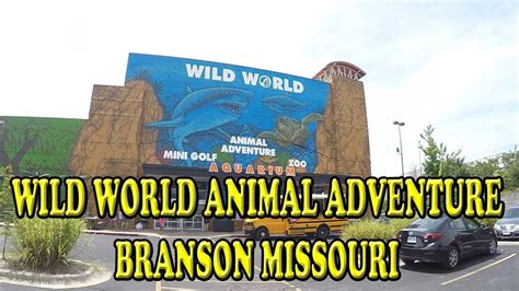 Wild World Animal Adventure Branson Missouri Youtube