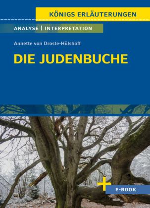 Judenbuche von Annette von Droste Hülshoff Textanalyse und