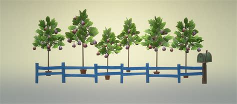 Fig Tree Garden by Denise0330 on DeviantArt