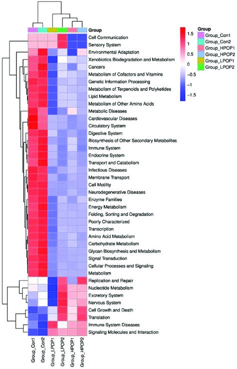 The Heatmap Showing The Picrust Predicted Kegg Ortholog Ko