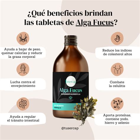 Tabletas Org Nicas Alga Fucus Suplemento Alimenticio