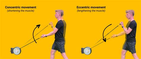 How To Create Eccentric Overload In Flywheel Training Molab