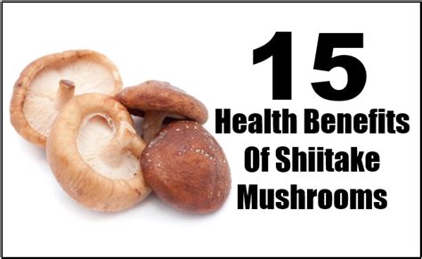 15 Powerful Health Benefits Of Shiitake Mushrooms Find Home Remedy And Supplements