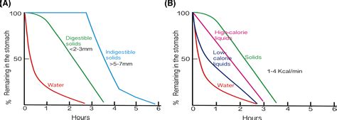 Advances In The Physiology Of Gastric Emptying Goyal 2019