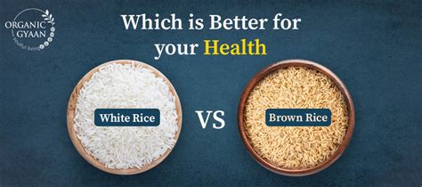 White Rice Vs Brown Rice Which Is Healthier For You Organic Gyaan