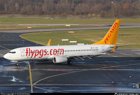 TC AAO Pegasus Boeing 737 86N WL Photo By Dominik Eimers ID 238080