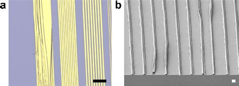 Figure From Optimization Of Bilayer Lift Off Process To Enable The