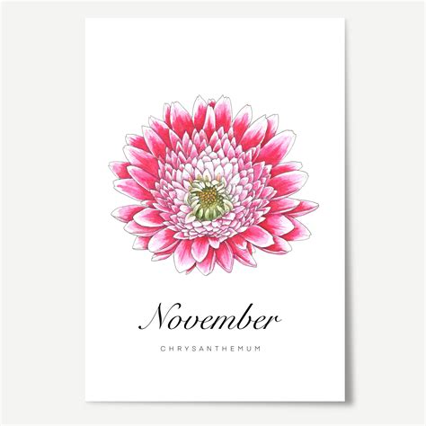 november flower of the month