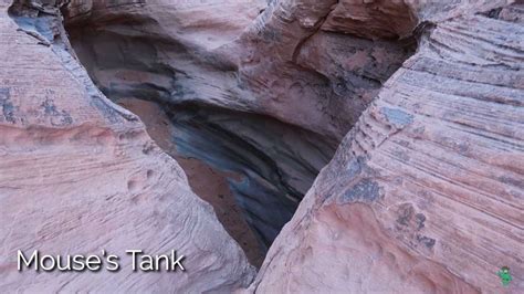 Petroglyphs at Mouse's Tank Trail in Valley of Fire State Park - Cactus ...