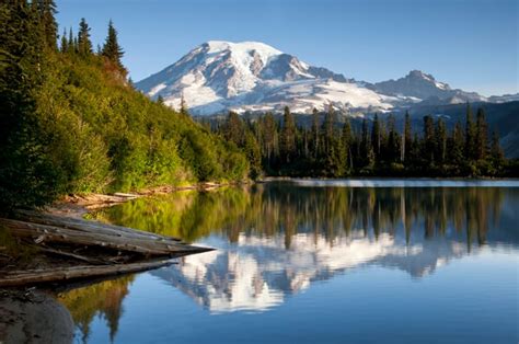 Bench Lake Mount Rainier National Park Photo Spot