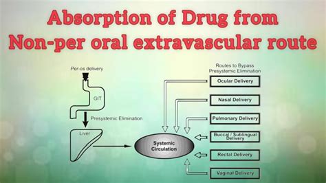 Absorption Of Drug From Non Per Oral Extravascular Route Youtube