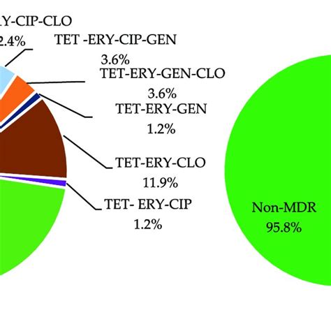 Diversity Of Multidrug Resistance Profiles Found In A E Faecalis N Download Scientific