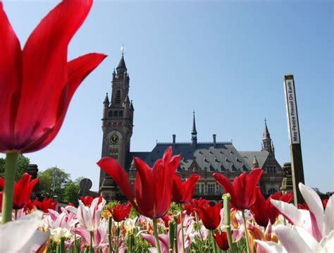 Rotterdam Delft The Hague Full Day Small Group Tour GetYourGuide